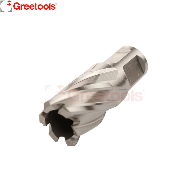 HSS Weldon Shank Broaching Cutters