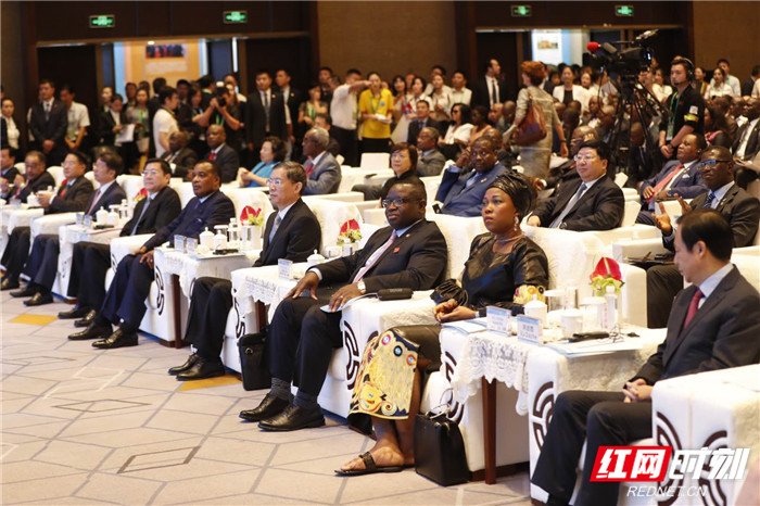 Changsha the 4th Investing in Africa Forum